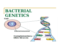 1.6- Bacterial Genetics.pdf